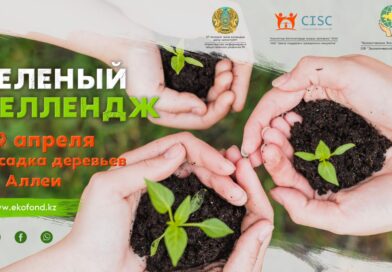 В Казахстане стартует «Зеленый челлендж»